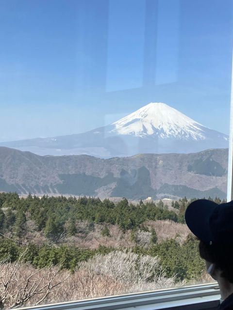 Hakone Day Tour to View Mt Fuji After Feeling Wooden Culture - Important Information for Participants
