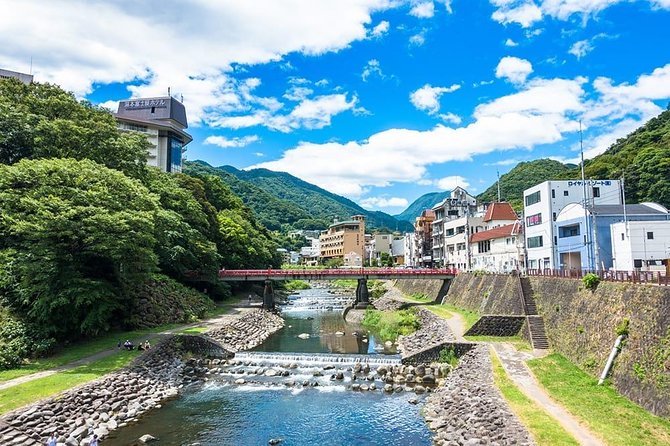 Hakone Full-Day Private Tour(Tokyo Dep.) With Government-Licensed Guide - Meeting and Pickup Details