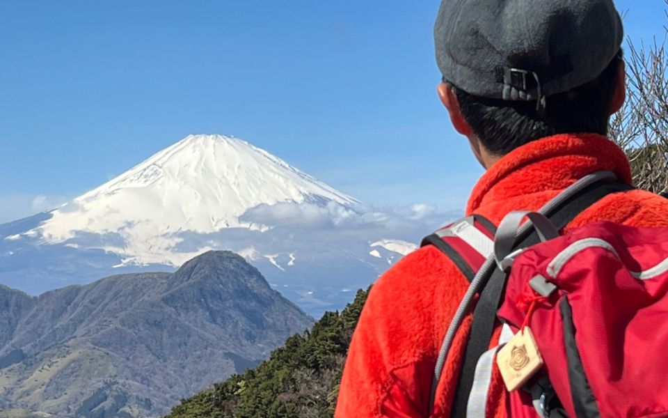 Hakone: Traverse the Hakone Caldera and Enjoy Onsen - Experience Description