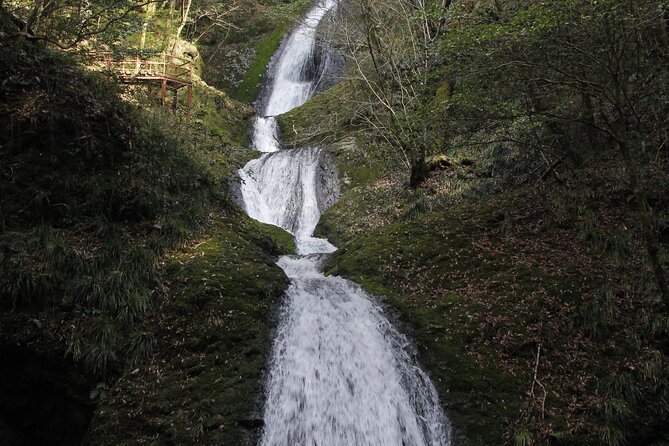 Half Day Countryside Tour in Shinshiro Japan - Activity Highlights and Flexibility