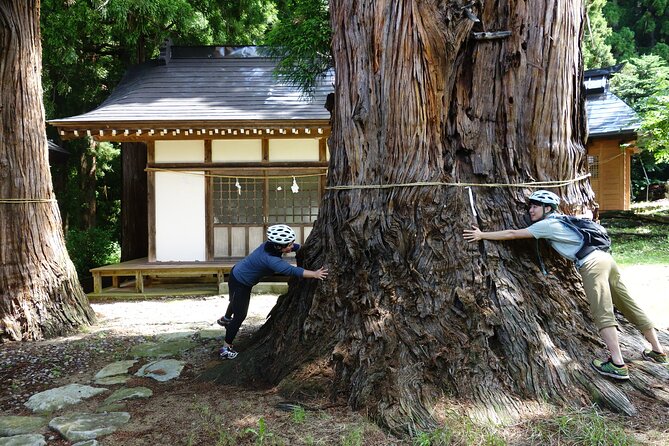 Half Day E-Bike Adventure Tour in Nagano - Additional Information