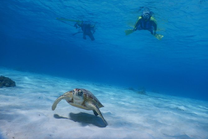 Half-Day Kayak Tour on the Kerama Islands and Zamami Island - Explore the Waters