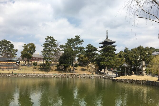 Half-Day Private Guided Tour to Nara City - What To Expect