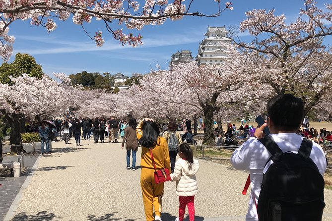 HIMEJI CASTLE Custom Tour With Private Car and Driver (Max 9 Pax) - What to Expect