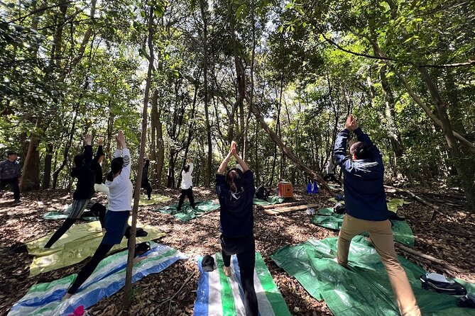 Hiroshima Spring Morning Hike Tour&Open-air Tea Ceremony - Tour Inclusions