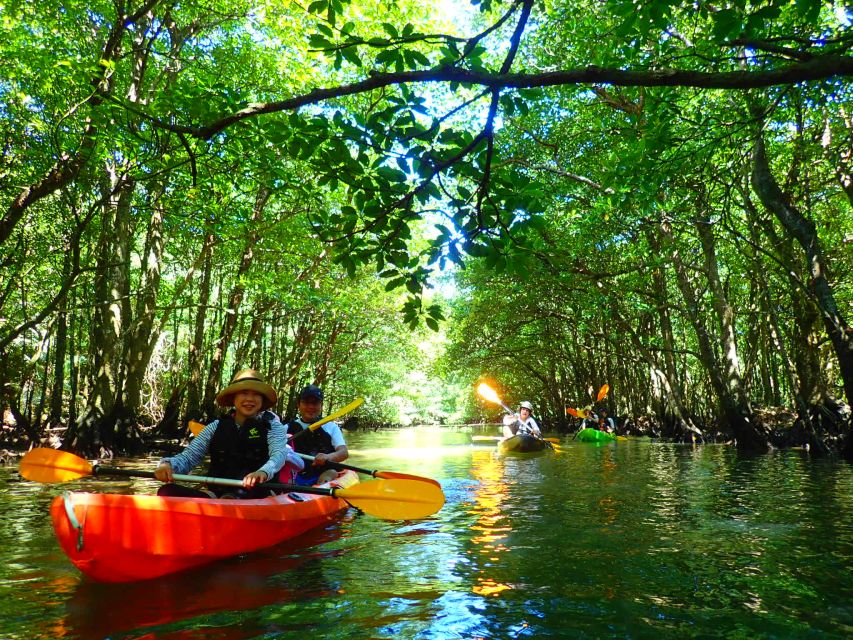 Iriomote Island: Kayaking and Canyoning Tour - Exciting Activities Included