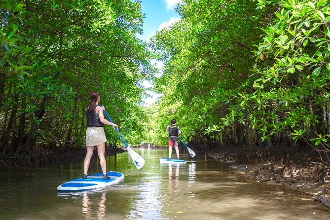 Iriomote Sup/Canoe in a World Heritage&Limestone Cave Exploration - Requirements and Restrictions