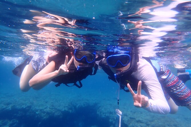 [Ishigaki] Blue Cave Snorkeling Tour - Price