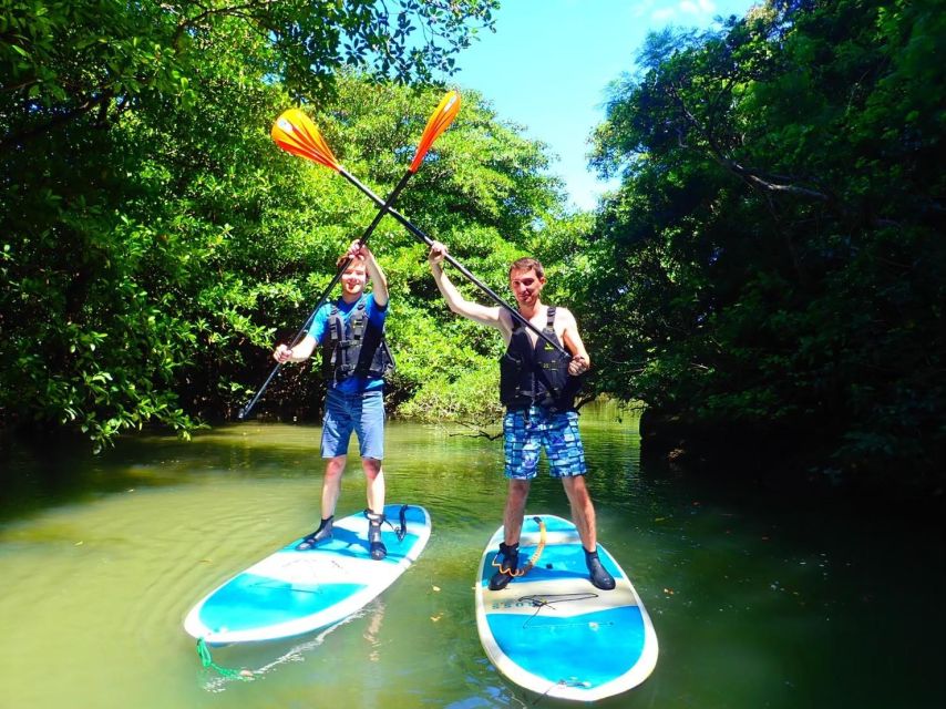 Ishigaki Island: SUP/Kayaking and Snorkeling at Blue Cave - Itinerary