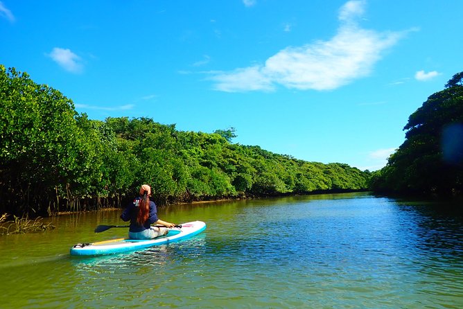 [Ishigaki]Mangrove SUP/Canoe Tour - Cancellation Policy