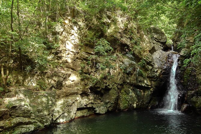 Jungle River Trek: Private Tour in Yanbaru, North Okinawa - Inclusions