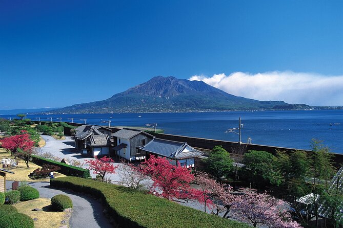 Kagoshima Highlights, Sakurajima Volcano, Etc. (Maximum 8 People) - Pickup Information