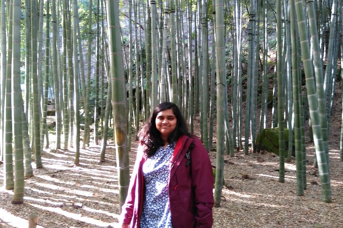 Kamakura 8 Hr Private Walking Tour With Licensed Guide From Tokyo - Booking Confirmation and Accessibility