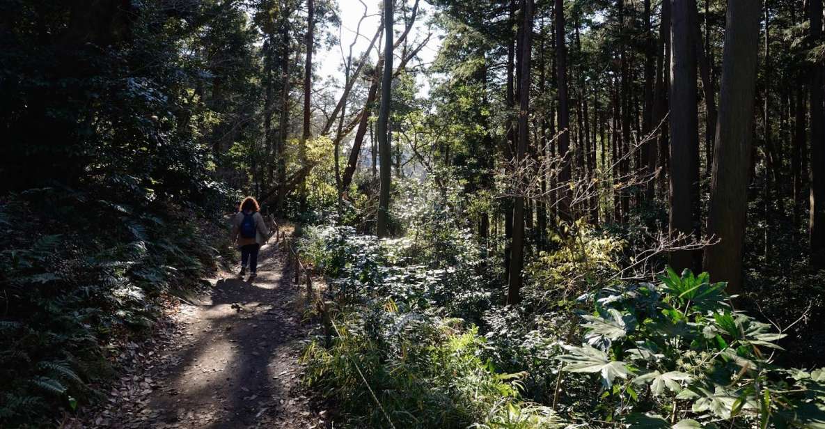 Kamakura: Daibutsu Hiking Trail Tour With Local Guide - Itinerary