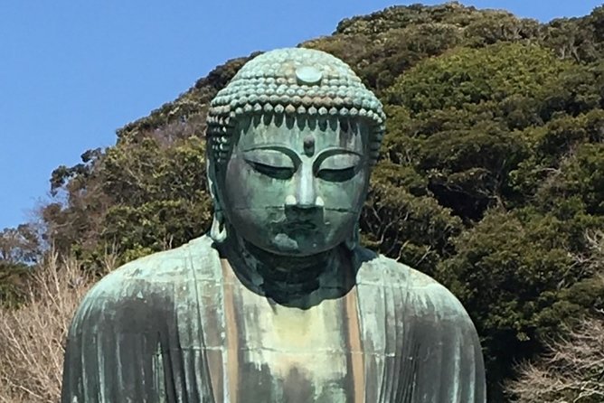 Kamakura Flower Tour - Local Cuisine Experience