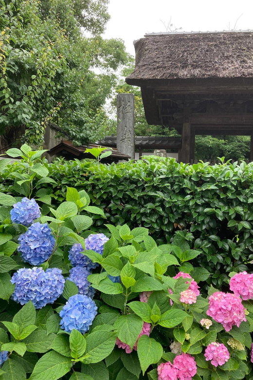 Kamakura: Tour of the Works of Ninshô in French - Booking Information