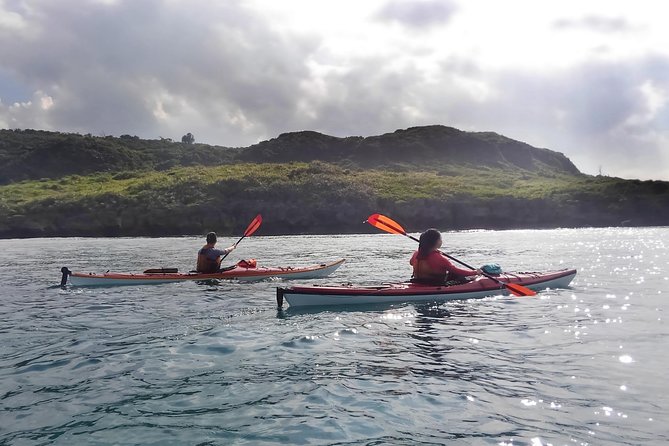 Kayak Mangroves or Coral Reef: Private Tour in North Okinawa - Location Details