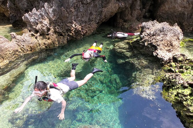 Kayak & Snorkel: Private Tour in Yanbaru, North Okinawa - Logistics Information