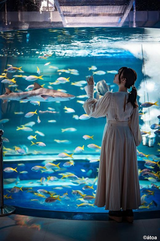 Kobe Urban Aquarium Aquarium×art Átoa Admission Ticket - Experience at Kobe Urban Aquarium