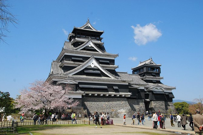 Kumamoto Custom Full Day Tour - Pricing and Inclusions