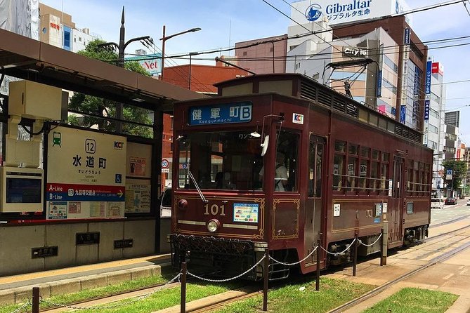 Kumamoto Half-Day Private Tour With Government-Licensed Guide - Customizable Itinerary