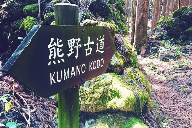 Kumano Kodo Pilgrimage Full-Day Private Trip With Government Licensed Guide - Cancellation Policy