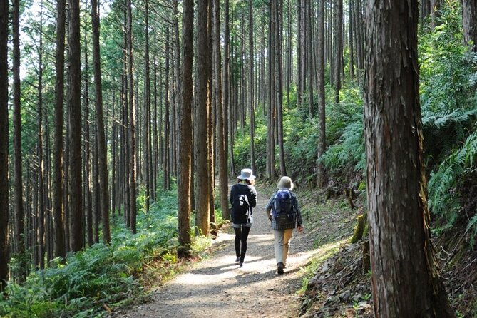 Kumano Kodo Pilgrimage Tour With Licensed Guide & Vehicle - What To Expect