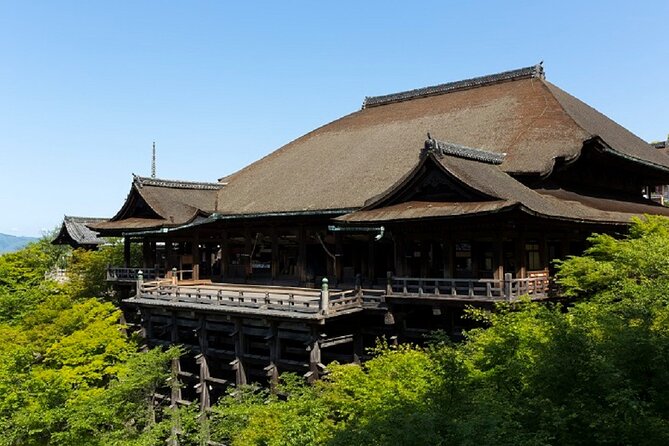 Kyoto Afternoon Tour - Fushimiinari & Kiyomizu Temple From Kyoto - Reviews and Visitor Feedback