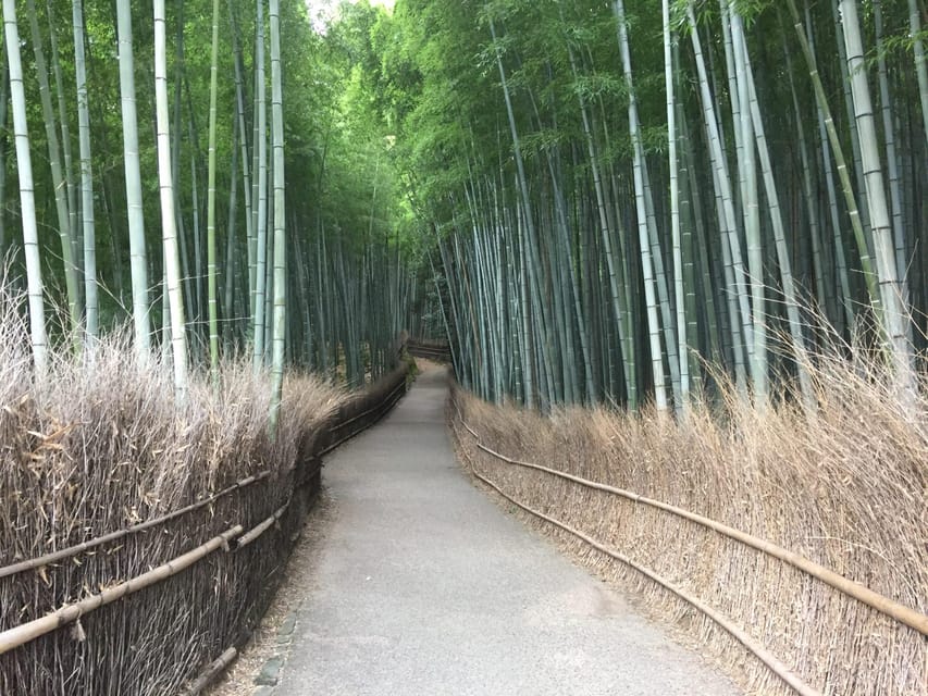 Kyoto, Arashiyama: Bamboo Grove Half-Day Private Guided Tour - Tour Itinerary