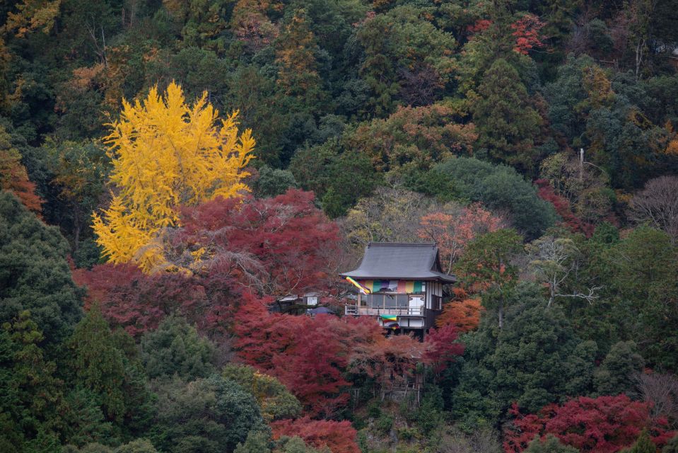 Kyoto: Arashiyama Forest Trek With Authentic Zen Experience - Cancellation Policy