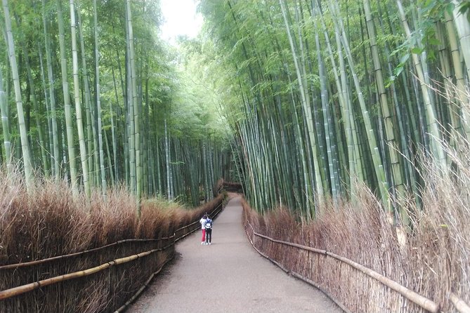 Kyoto Arashiyama & Golden Pavilion One Day Fulfilling Tour - Customer Reviews