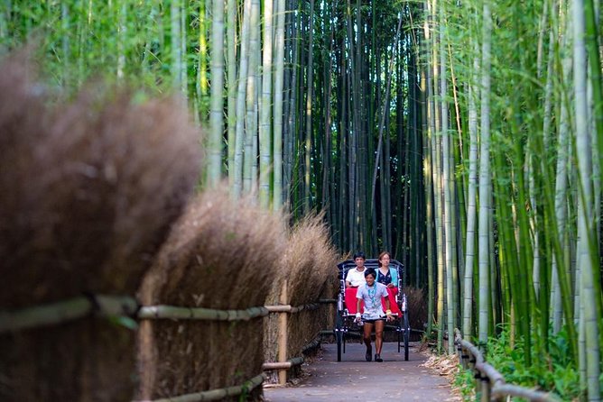 Kyoto Arashiyama Rickshaw Tour With Bamboo Forest - Pricing