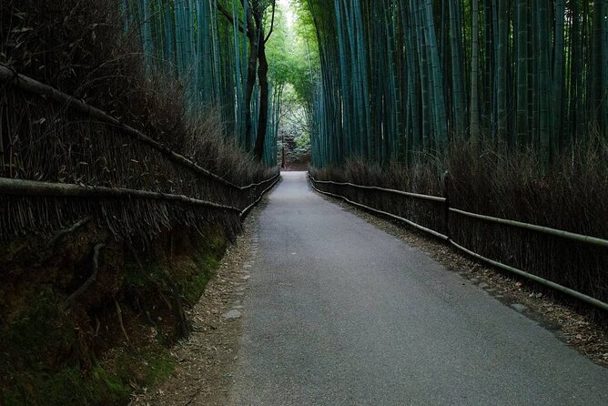 Kyoto Bamboo Forest & Golden Pavilion Bike Tour - Booking Information