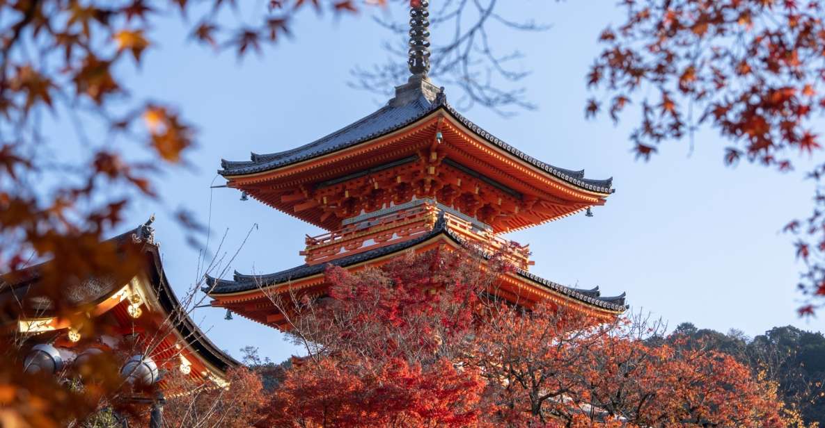 Kyoto: Personalized Guided Private Tour - Important Information