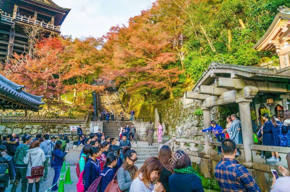 Kyoto: Private Tour With Local Licensed Guide - Experience