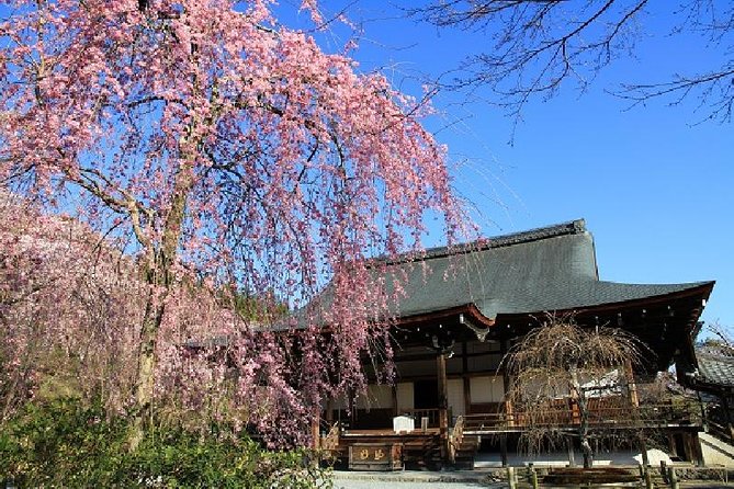 Kyoto Sagano Bamboo Grove & Arashiyama Walking Tour - Tour Logistics