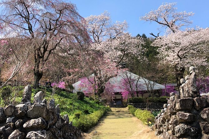 Little Adventure With Cycling in Tokyo No. 1 Crystal Clear River - Scenic Rest Stops