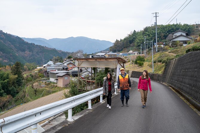 Lodging Plans With Gibier Cuisine / Tokushima, Shikoku - Expectations and Accessibility