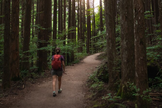 Magome & Tsumago Nakasendo Trail Day Hike With Government-Licensed Guide - Traveler Experiences