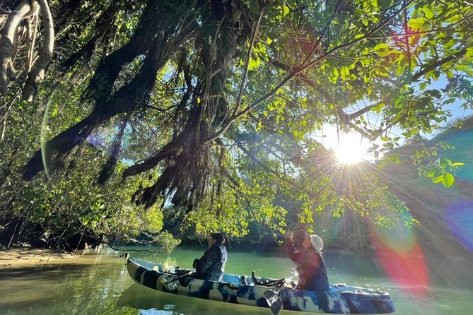 Mangrove Kayaking to Enjoy Nature in Okinawa - Inclusive Equipment Provision