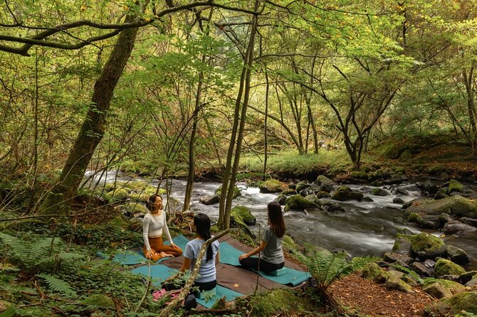 Meditation Experience in Nature With Primeval Forest and Springs - Frequently Asked Questions