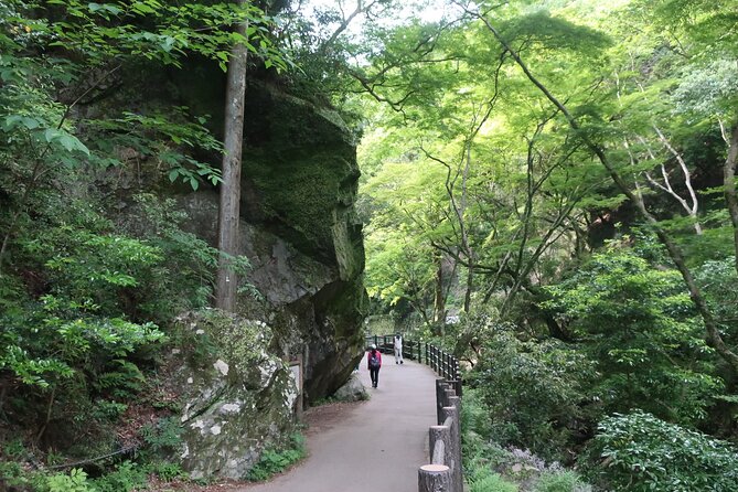 Minoh Waterfall and Nature Walk Through the Minoh Park - Additional Tour Info