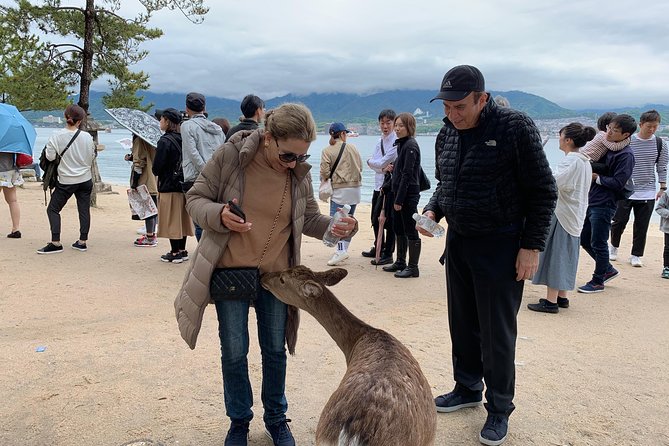 Miyajima Half-Day Private Tour With Government Licensed Guide - Customer Experiences