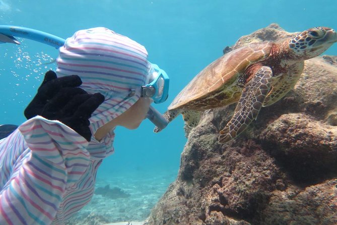 [Miyakojima Snorkel] Private Tour From 2 People Lets Look for Sea Turtles! Snorkel Tour That Can Be Enjoyed From 3 Years Old - Cancellation Policy and Price