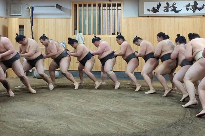 Morning Sumo Practice Viewing in Tokyo - Cancellation Policy