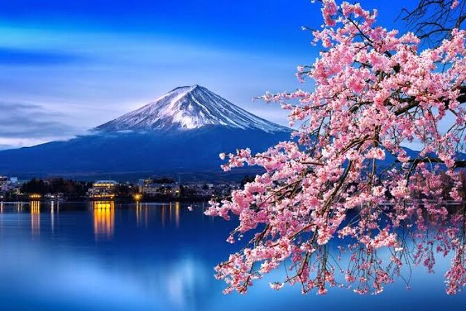 Mount Fuji and Hakone Private Tour With English Speaking Driver - Additional Details