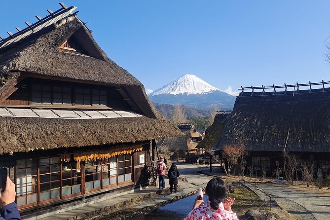 Mount Fuji and Surroundings Full Day Private Tour - Booking Information and Pricing