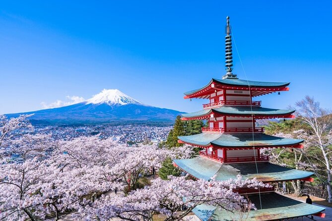 Mount Fuji Day Trip With Yamanakako Hot Springs From Tokyo - Booking Considerations