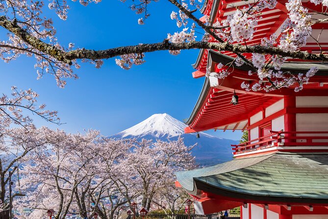 Mount Fuji Five Lakes Tour From Tokyo With Guide & Vehicle - Cancellation Policy