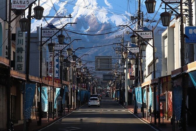 Mount Fuji/Hakone/Tokyo Private Charter Car Tour 10 Hours - Accessibility and Group Size